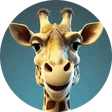 dan_mcavoy